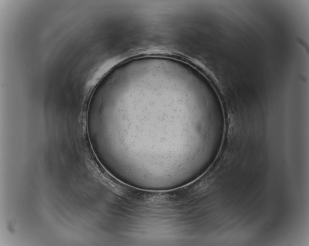 X0000101231367200807111110