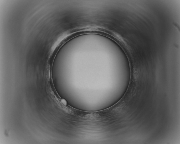 X0000101231368200807111110