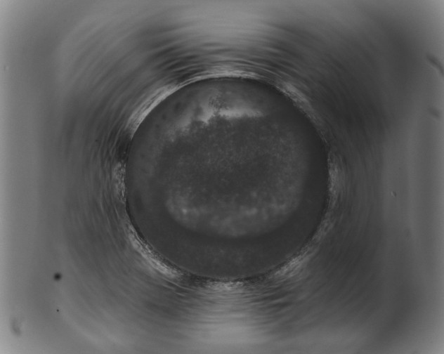 X0000101231369200807111110