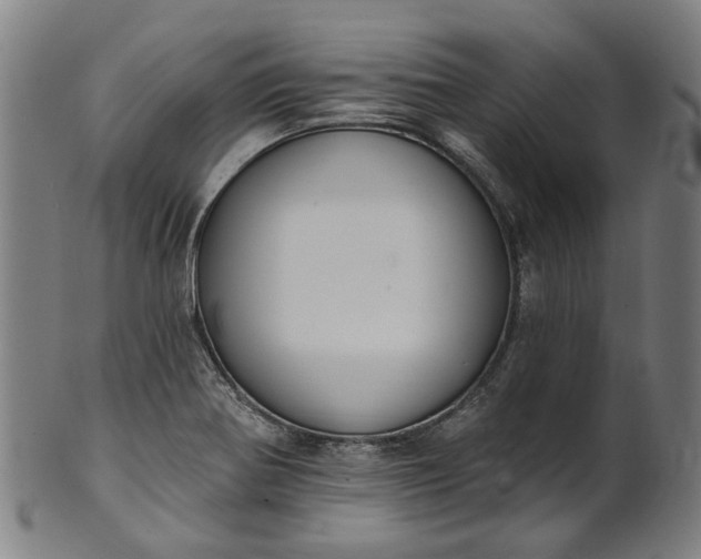 X0000101231370200807111110