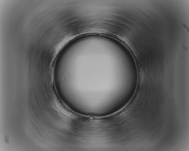 X0000101231371200807111110