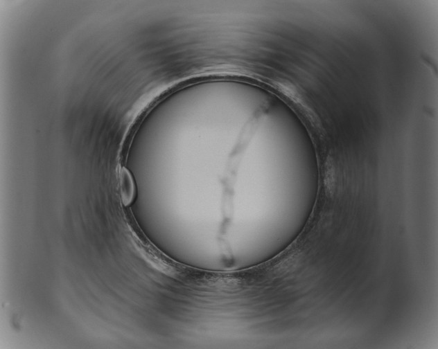 X0000101231372200807111110