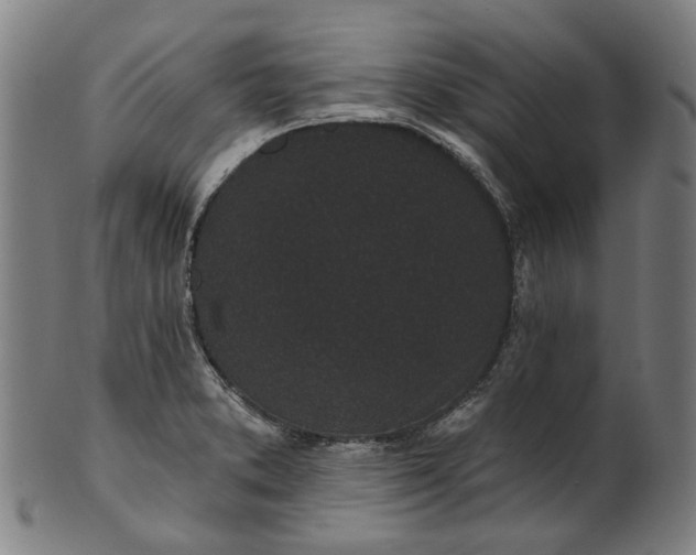 X0000101231373200807111110