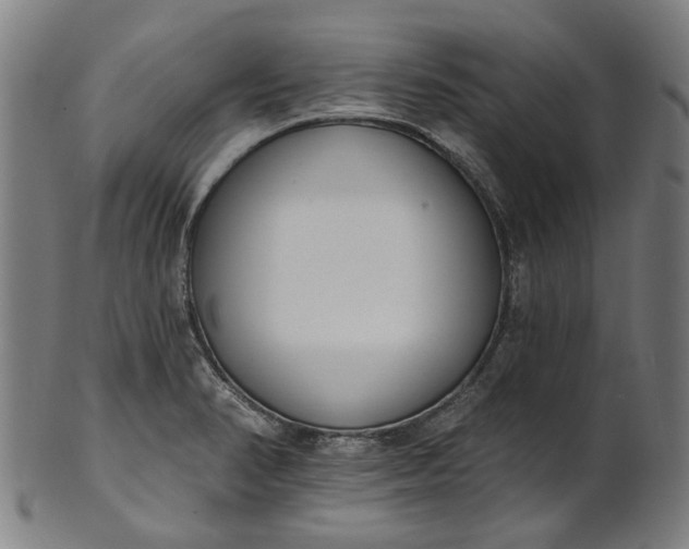 X0000101231374200807111110