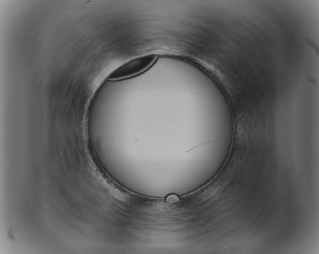 X0000101231375200807111110