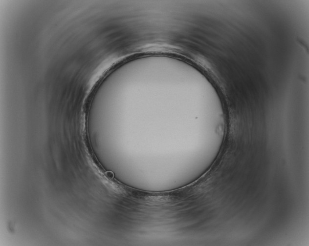 X0000101231376200807111110