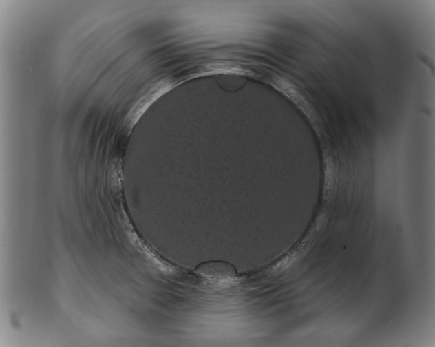 X0000101231377200807111110