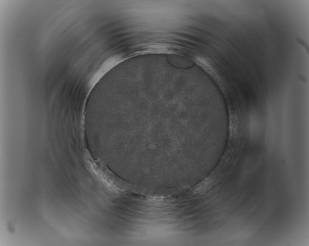 X0000101231378200807111110