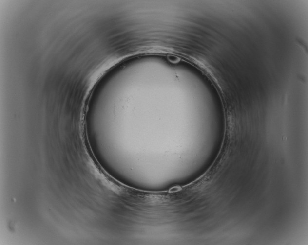 X0000101231379200807111110