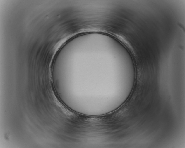 X0000101231380200807111110