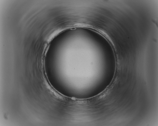 X0000101231381200807111110