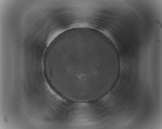 X0000101231382200807111110