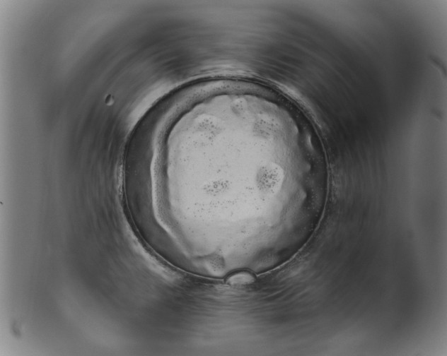 X0000101231383200807111110