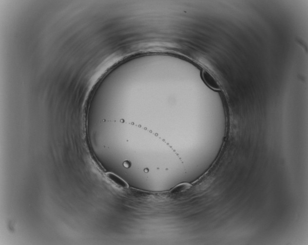 X0000101231384200807111110