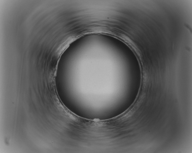 X0000101231385200807111110