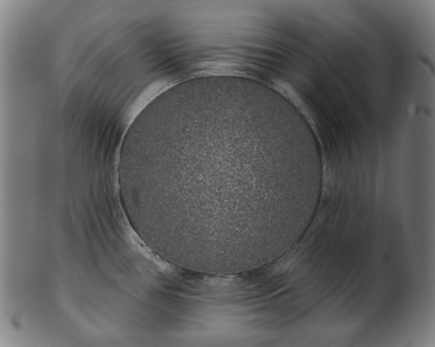 X0000101231386200807111110