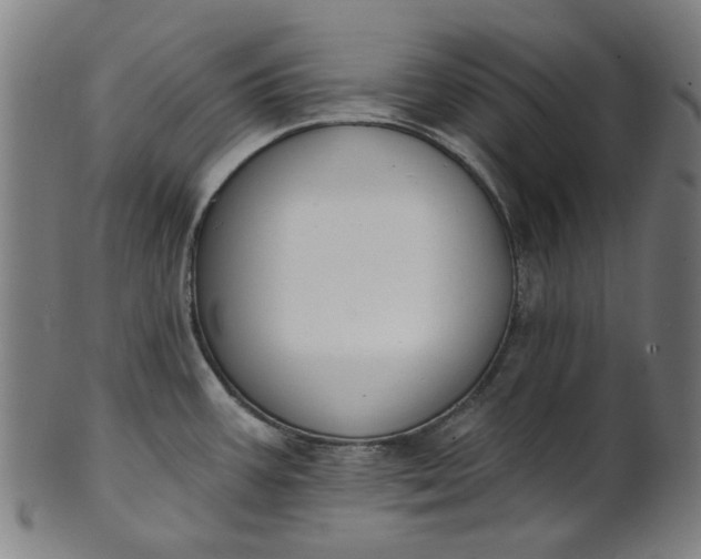 X0000101231387200807111110