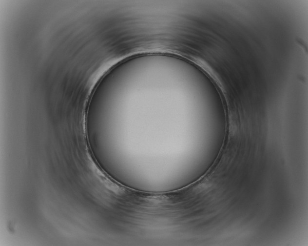 X0000101231388200807111110