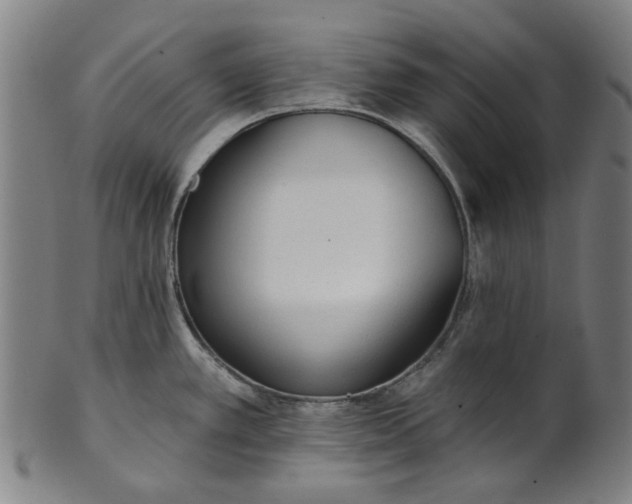 X0000101231389200807111110