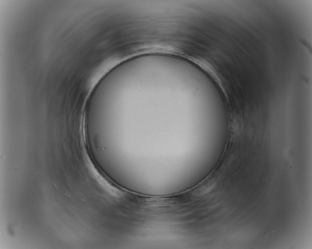 X0000101231391200807111110