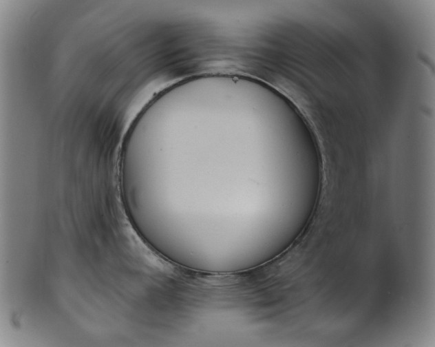 X0000101231392200807111110