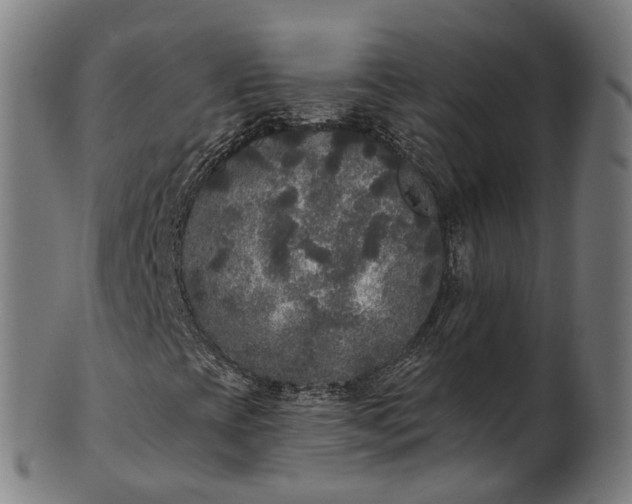 X0000101231393200807111109