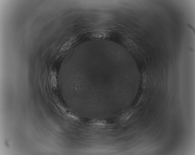 X0000101231394200807111109