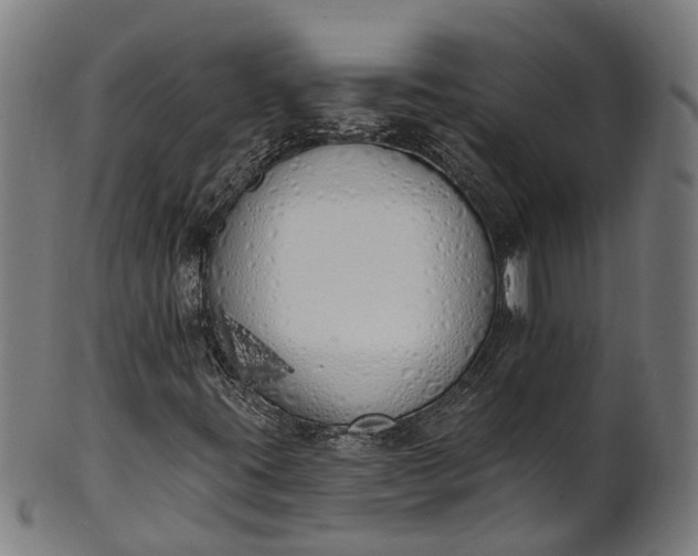 X0000101231395200807111109