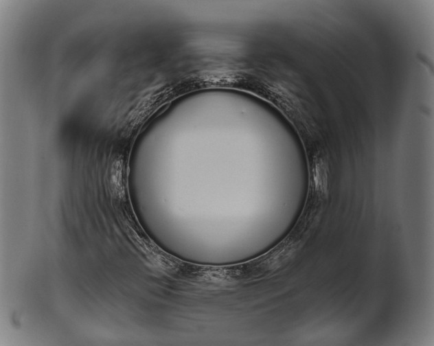 X0000101231396200807111109