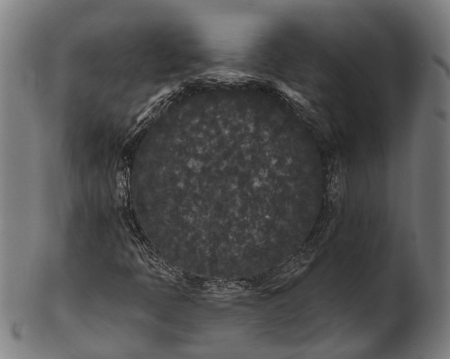 X0000101231397200807111109