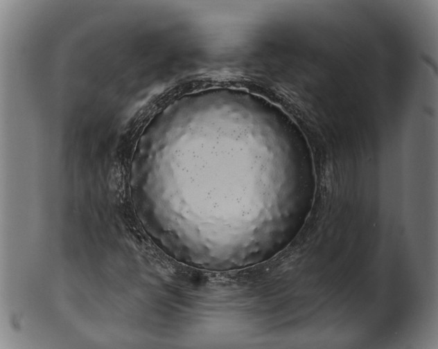 X0000101231398200807111109