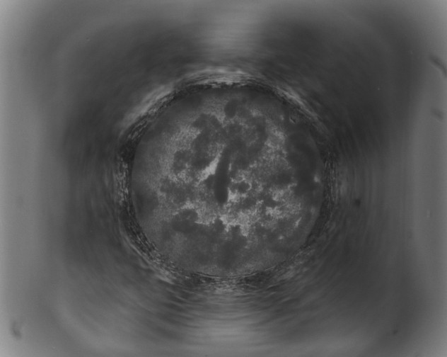 X0000101231399200807111109