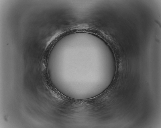 X0000101231400200807111109