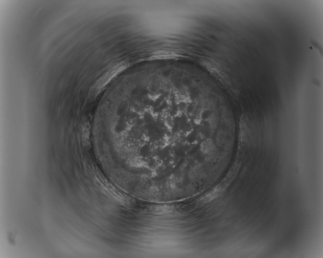 X0000101231401200807111109