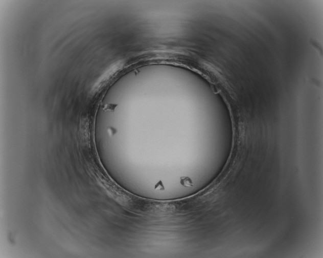 X0000101231403200807111109