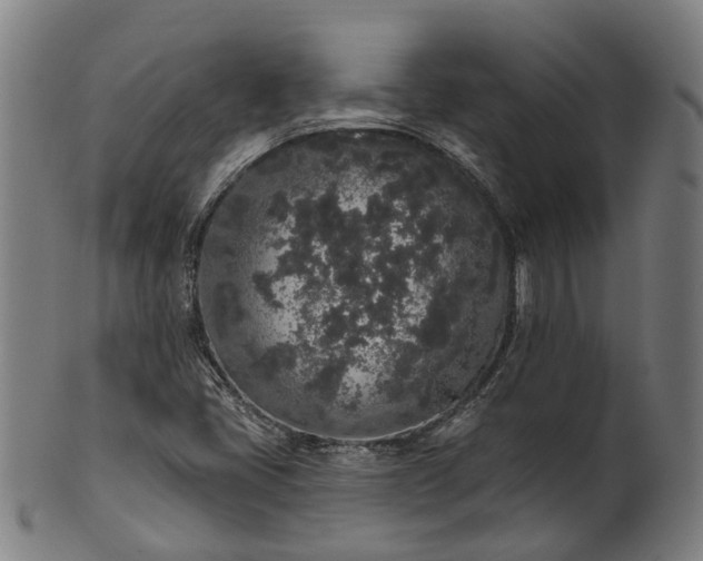 X0000101231405200807111109