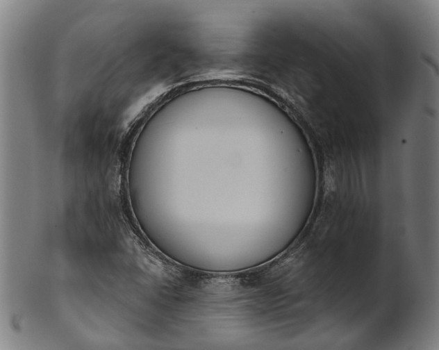 X0000101231406200807111109