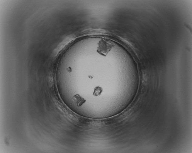 X0000101231407200807111109