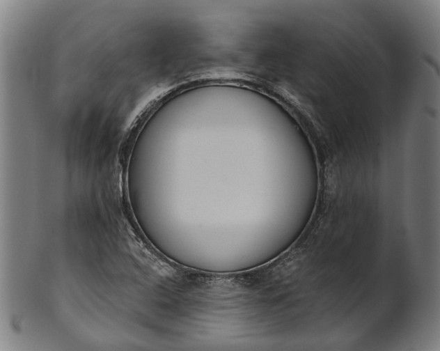 X0000101231408200807111109