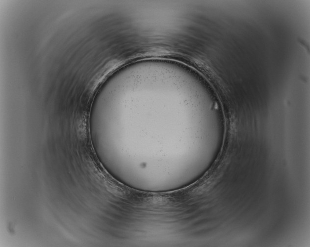 X0000101231409200807111109