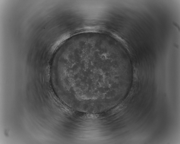 X0000101231411200807111109