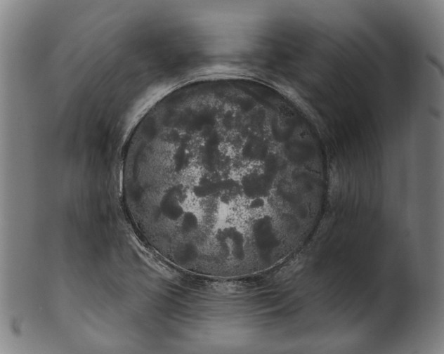 X0000101231413200807111109