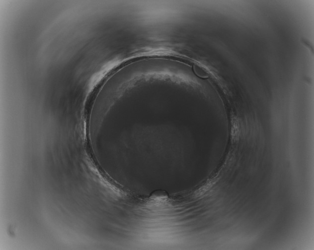 X0000101231414200807111109