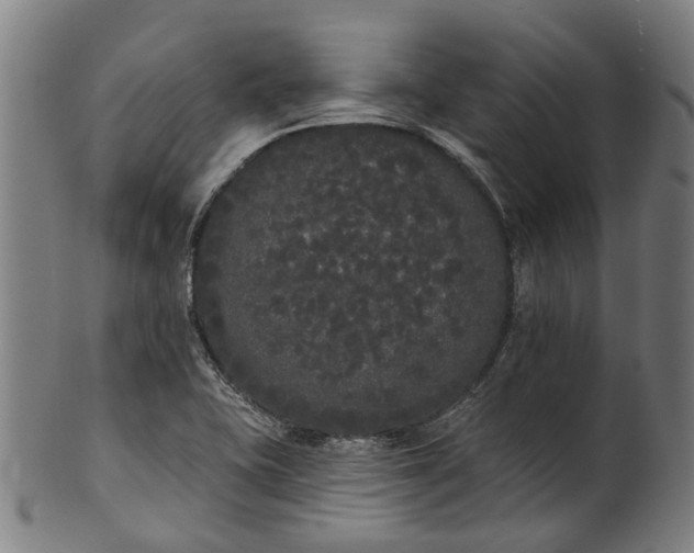 X0000101231415200807111109