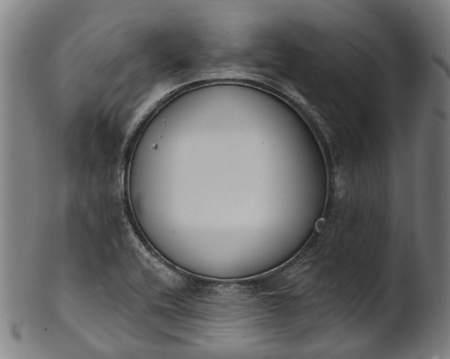 X0000101231416200807111109