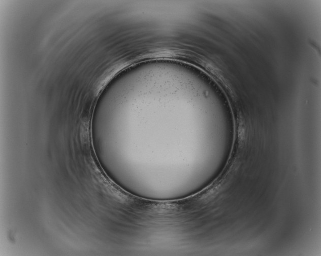 X0000101231417200807111109