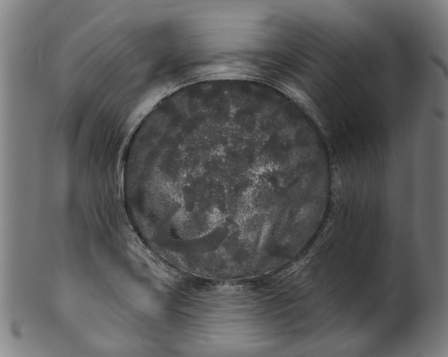 X0000101231419200807111109