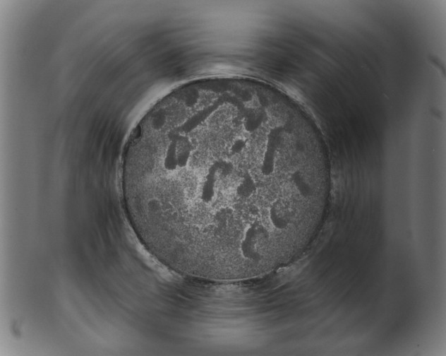 X0000101231421200807111109