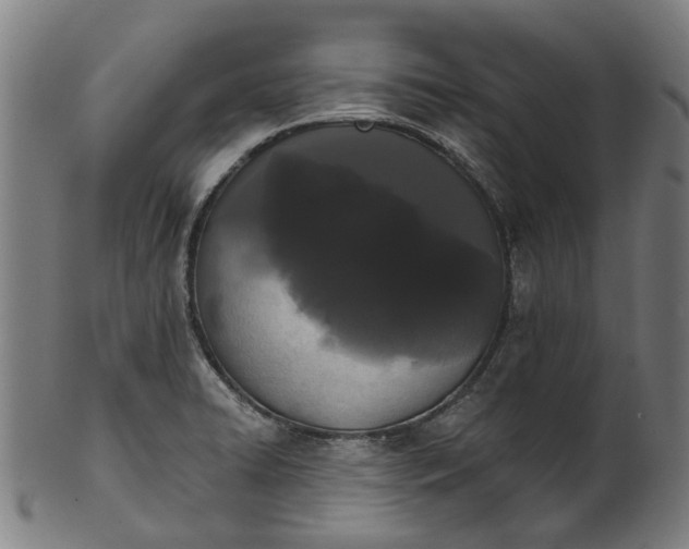 X0000101231422200807111109