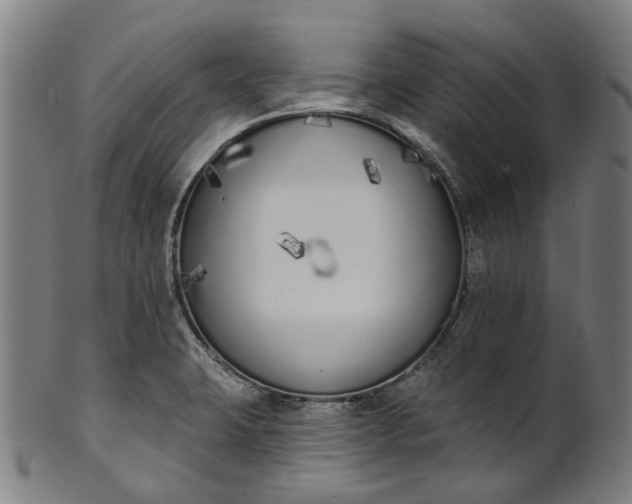 X0000101231423200807111109